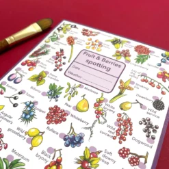 Fruits And Berries Wildlife Spotting Notepad 10 Fruits And Berries Wildlife Spotting Notepad -Toy Series Store 129e249f32591c85e069e00cf0cfc0fe1d10f2c5ba118e0260d2f383099b65cc