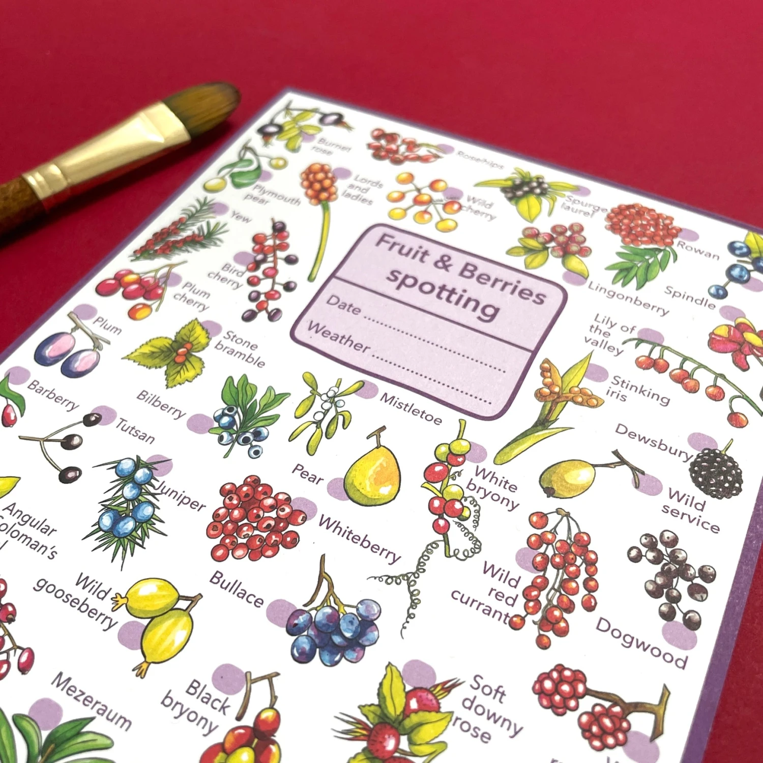 Fruits And Berries Wildlife Spotting Notepad 5 Fruits And Berries Wildlife Spotting Notepad - Image 5