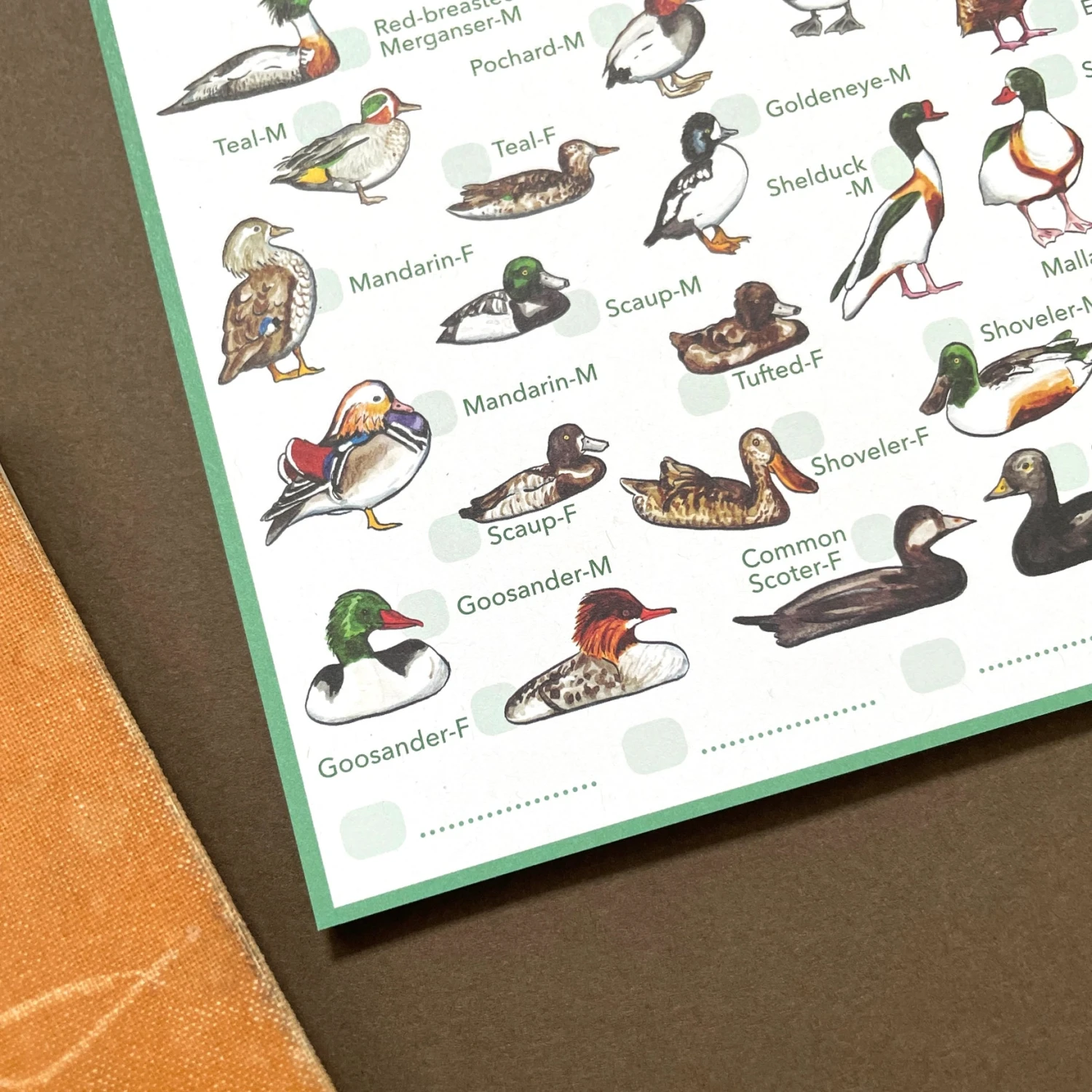 Ducks Wildlife Spotting Notepad 2 Ducks Wildlife Spotting Notepad - Image 2