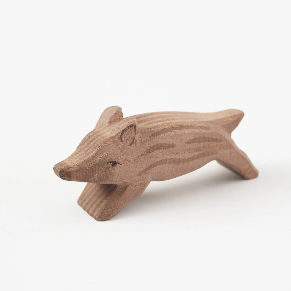 Wild Boar Young 1 Wild Boar Young