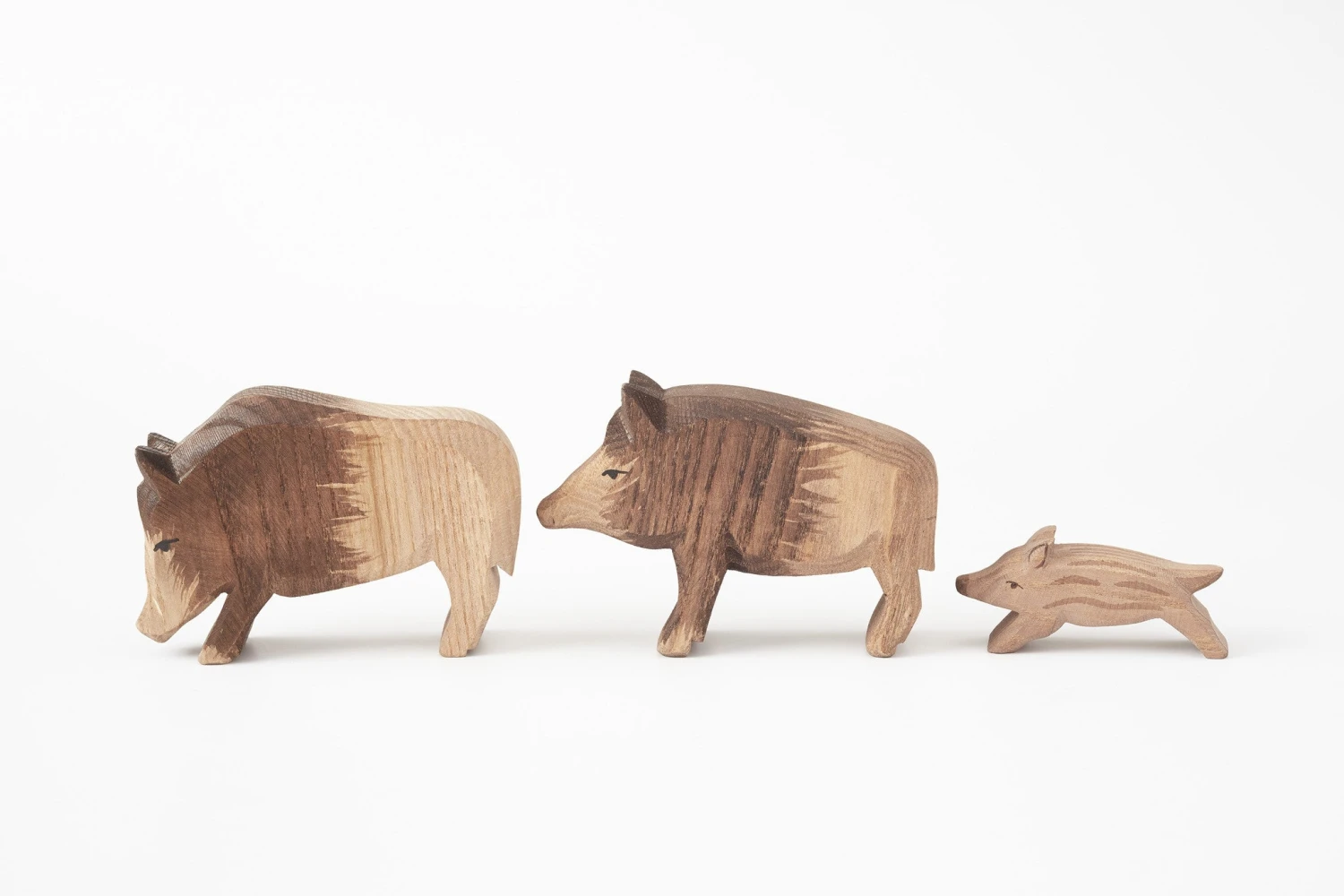 Wild Boar Young 2 Wild Boar Young - Image 2