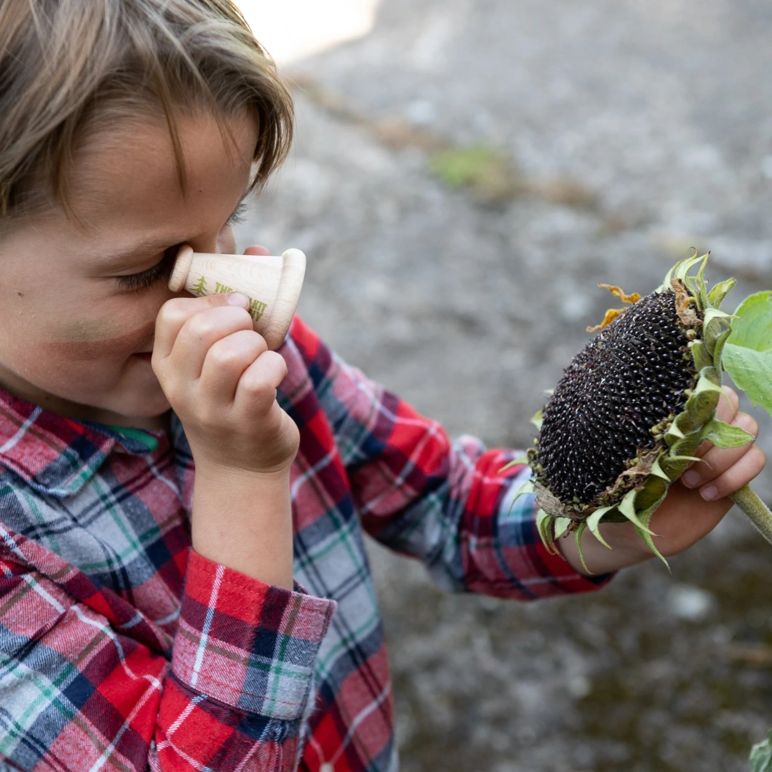 Patterns In Nature Kit 2 Patterns In Nature Kit - Image 2