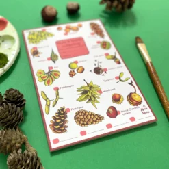 Nuts & Seeds Wildlife Spotting Notepad -Toy Series Store 68099efd0d5fcb5939146a09f9f6dbc364173a0c63cc0fc60d5c73b8af6b8b94