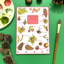 Nuts & Seeds Wildlife Spotting Notepad