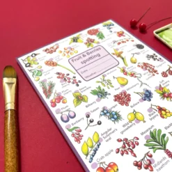 Fruits And Berries Wildlife Spotting Notepad 9 Fruits And Berries Wildlife Spotting Notepad -Toy Series Store 8a7e907f99988f99ec4ccedbe4ce2d9fc6c211c459daa1183d3dc48e030b4e0c