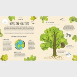 Bird, Bee And Bug Houses: Homes And Habitats For Garden Wildlife -Toy Series Store 9781787081444 il 10 5000a