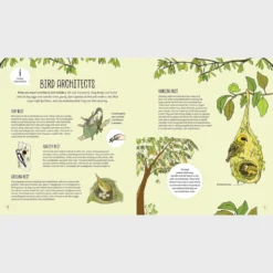 Bird, Bee And Bug Houses: Homes And Habitats For Garden Wildlife -Toy Series Store 9781787081444 il 11 d1c07