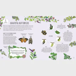 Bird, Bee And Bug Houses: Homes And Habitats For Garden Wildlife -Toy Series Store 9781787081444 il 12 ccd53