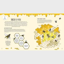 Bird, Bee And Bug Houses: Homes And Habitats For Garden Wildlife -Toy Series Store 9781787081444 il 13 53bd2