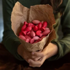 Mandala Flower Petals -Toy Series Store Art 21 221 Flower Petals IMG 9691 Joguines Grapat