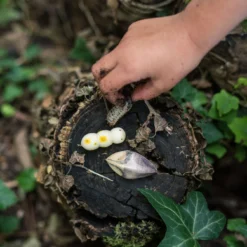 Grapat Wild -Toy Series Store Art22 232 A7R03018WildJoguinesGrapat