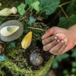 Grapat Wild -Toy Series Store Art22 232 A7R03131WildJoguinesGrapat