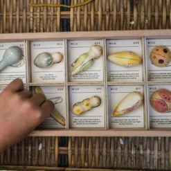 Grapat Wild -Toy Series Store Art22 232 DSC02733WildJoguinesGrapat