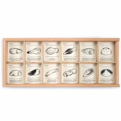 Grapat Wild -Toy Series Store Art22 232 MG 0002WildJoguinesGrapat