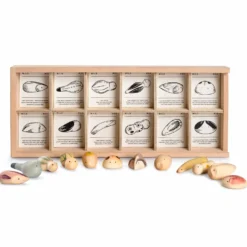 Grapat Wild -Toy Series Store Art22 232 MG 0003WildJoguinesGrapat