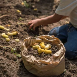 Grapat Mandala Tulip 6 Grapat Mandala Tulip -Toy Series Store Art22 240 A7R02447MandalaTulipJoguinesGrapat