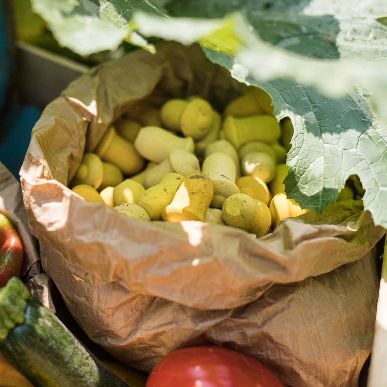 Grapat Mandala Tulip 2 Grapat Mandala Tulip - Image 2