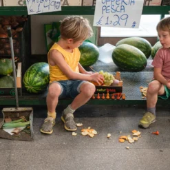 Mandala Pumpkins 13 Mandala Pumpkins -Toy Series Store Art23 252MandalapumkinsA7R05203JoguinesGrapat
