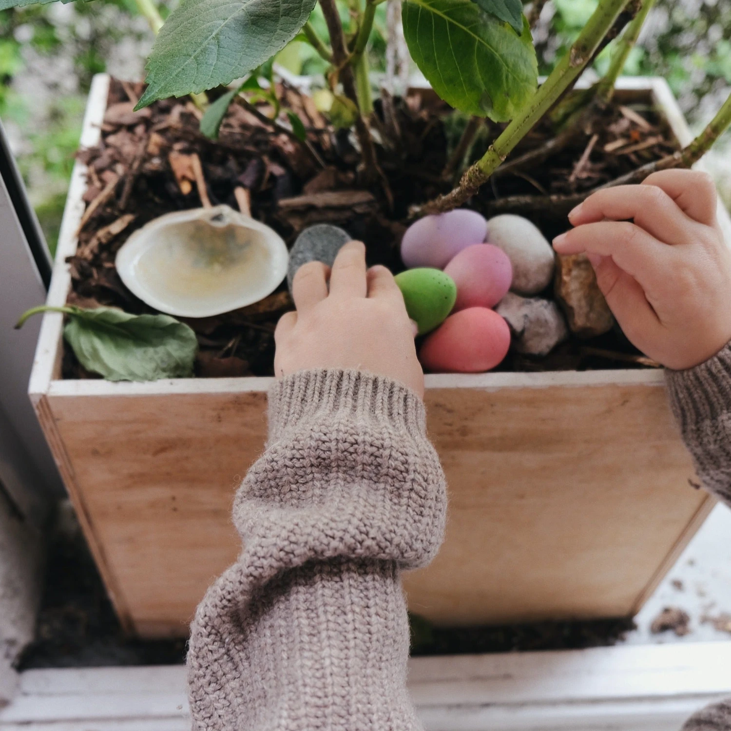 Happy Eggs 4 Happy Eggs - Image 4