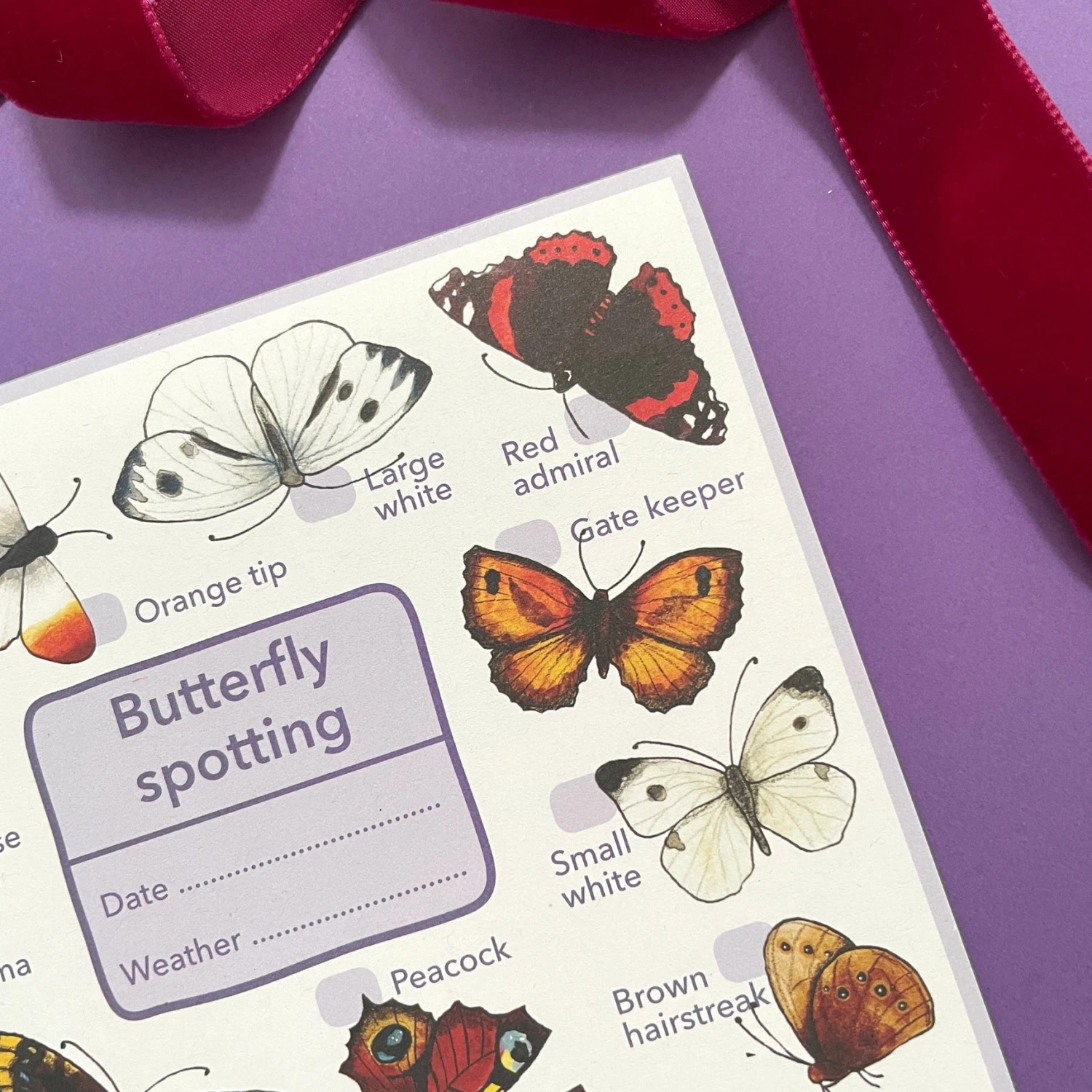 Butterflies Wildlife Spotting Notepad 2 Butterflies Wildlife Spotting Notepad - Image 2