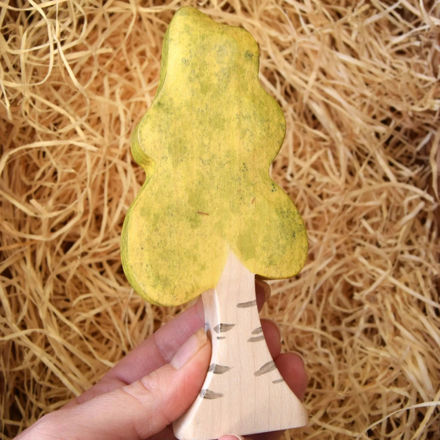 Small Birch Tree 2 Small Birch Tree - Image 2