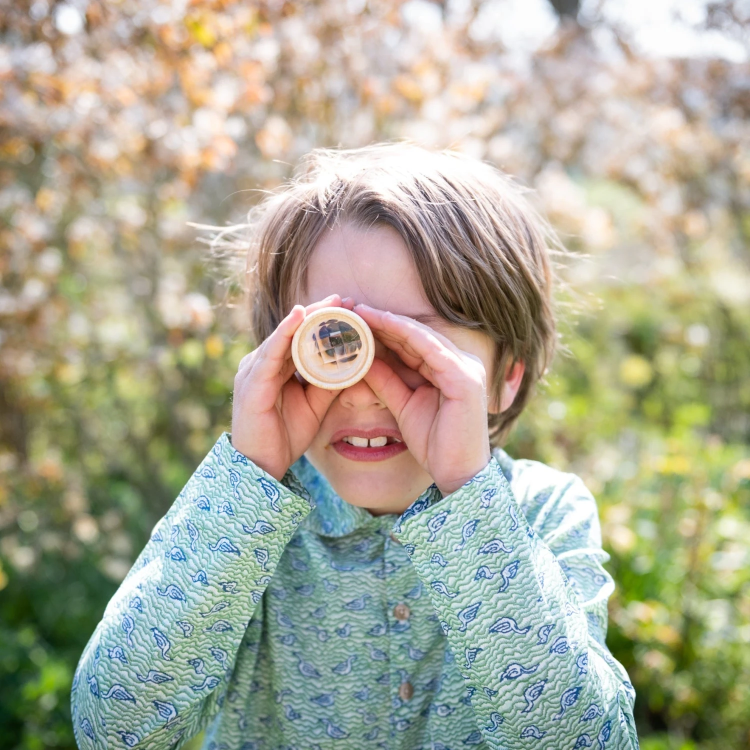 Patterns In Nature Kit 4 Patterns In Nature Kit - Image 4