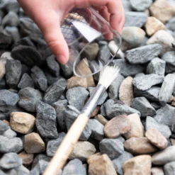 Entomology Kit -Toy Series Store DSC 6444