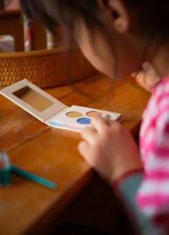 Eye Shadow Pallet | Summer