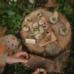 The Fairy Garden Kit -Toy Series Store Fairy Garden Kit 3