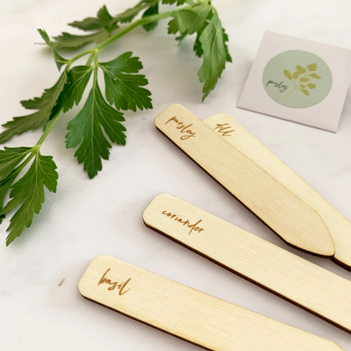 Gift Tin | Herb Seed 3 Gift Tin | Herb Seed - Image 3