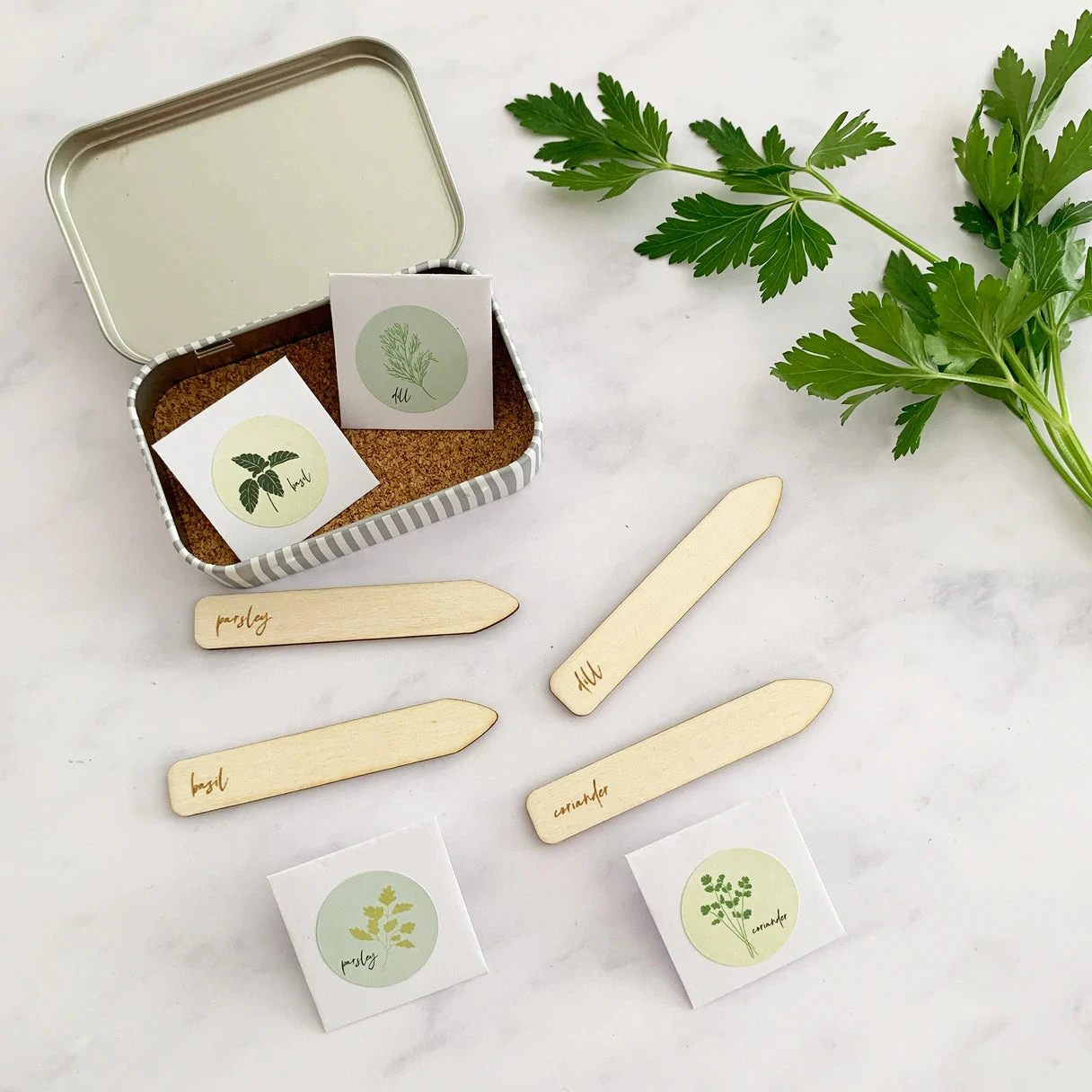 Gift Tin | Herb Seed 4 Gift Tin | Herb Seed - Image 4