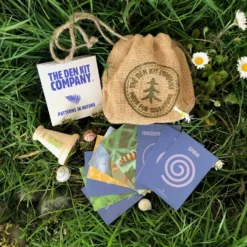 Patterns In Nature Kit 13 Patterns In Nature Kit -Toy Series Store IMG 4338 scaled