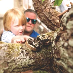 Mini Bird Pizza Kit -Toy Series Store MK Mini Pizza Kit Lifestyle 1020x1200 d297207c 4afb 4621 9b93 ed5c9a6722b6