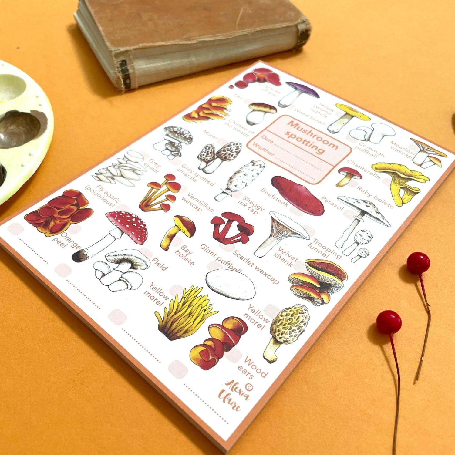 Mushrooms Wildlife Spotting Notepad 3 Mushrooms Wildlife Spotting Notepad - Image 3