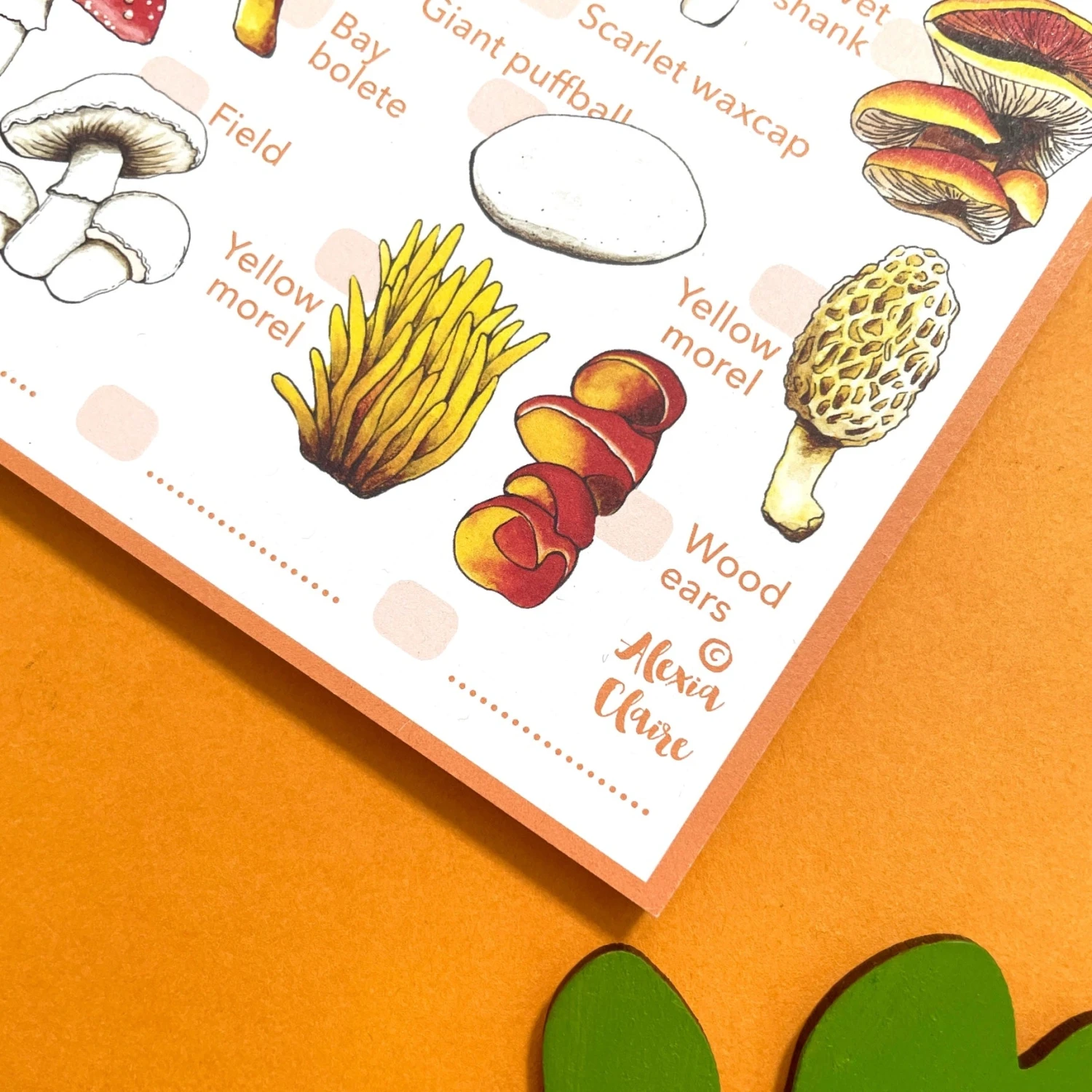 Mushrooms Wildlife Spotting Notepad 5 Mushrooms Wildlife Spotting Notepad - Image 5