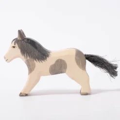 Shetland Pony | Running