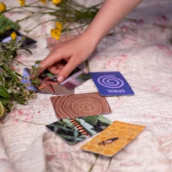 Patterns In Nature Kit 14 Patterns In Nature Kit -Toy Series Store Z6D 5108 scaled