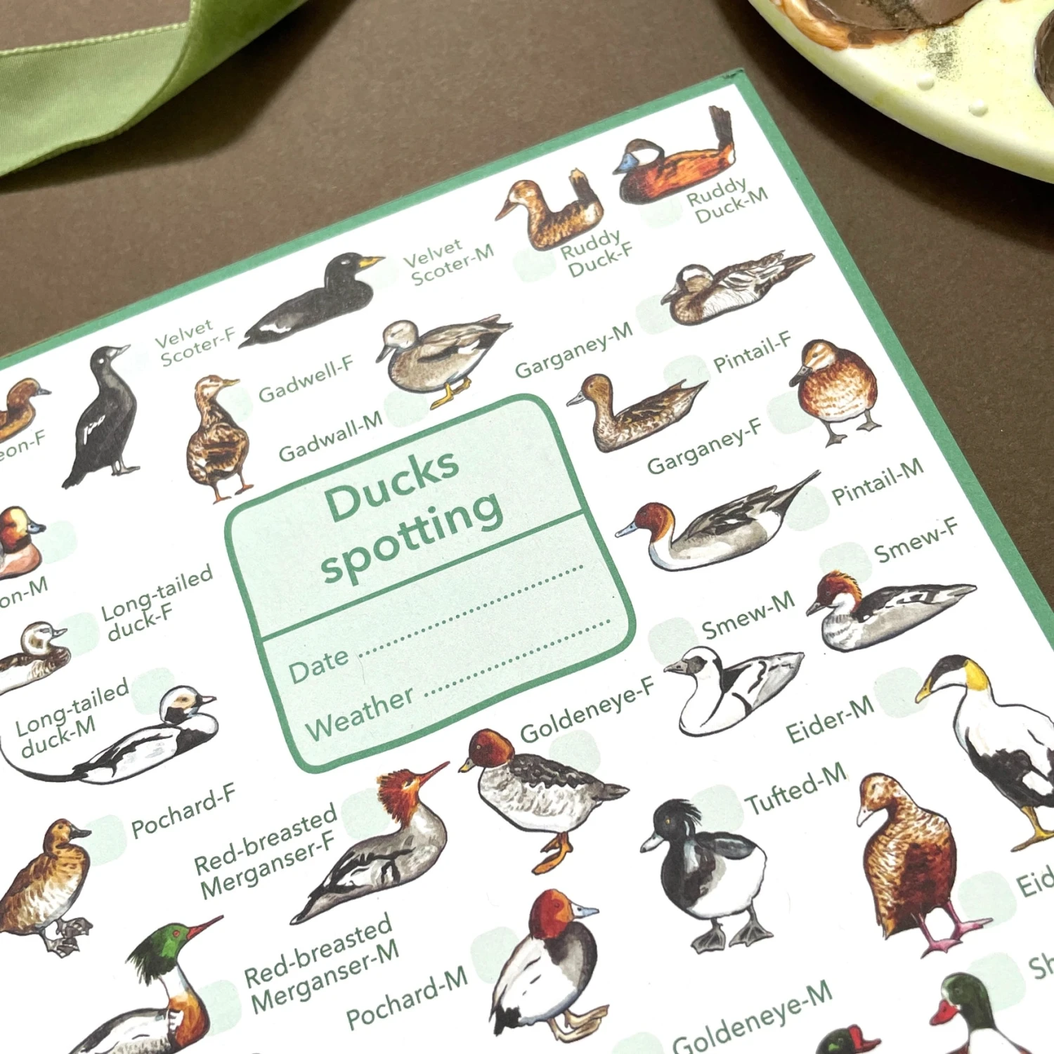 Ducks Wildlife Spotting Notepad 5 Ducks Wildlife Spotting Notepad - Image 5
