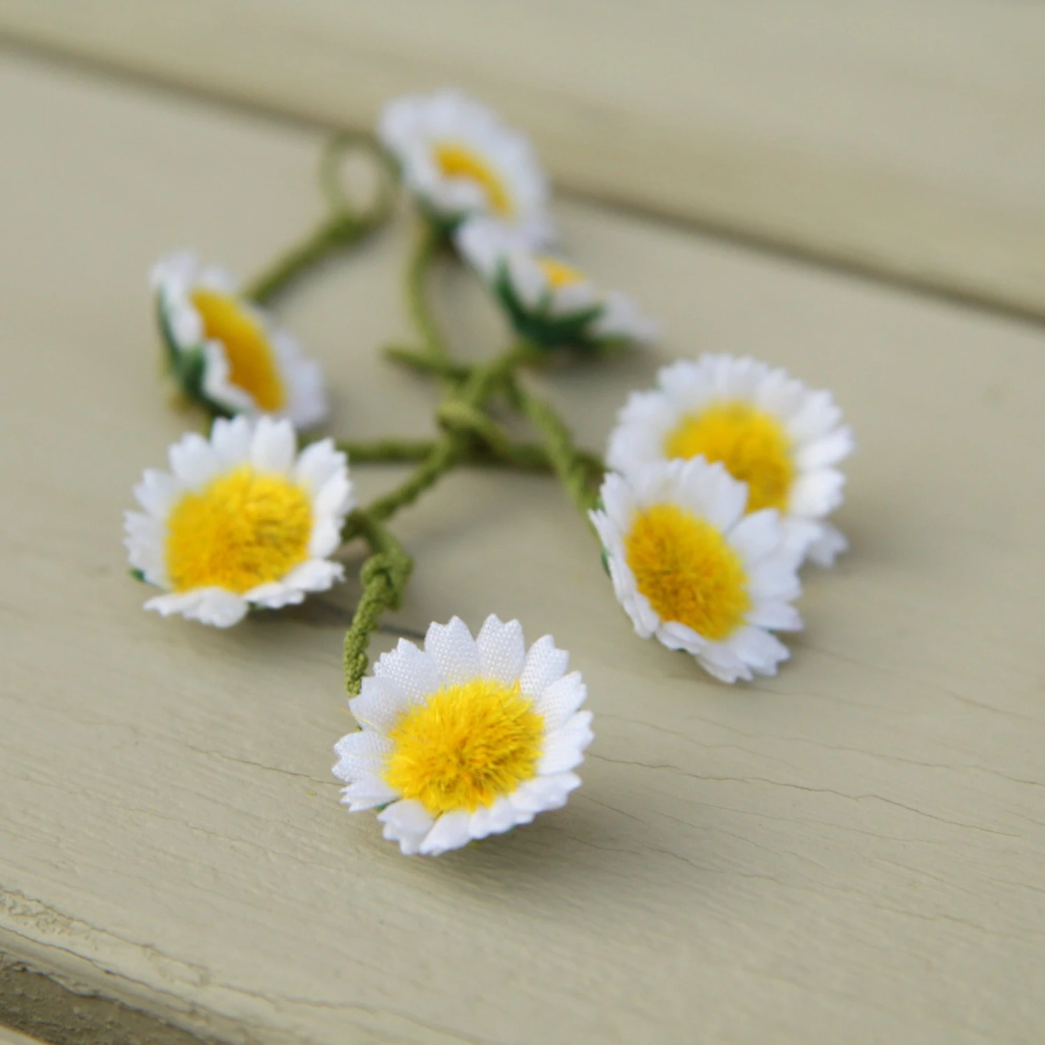 Daisy Chain | Box Of 20 Daisies 2 Daisy Chain | Box Of 20 Daisies - Image 2