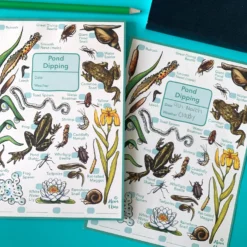 Pond Dipping Wildlife Spotting Notepad 7 Pond Dipping Wildlife Spotting Notepad -Toy Series Store ec0d9a4e9c6a23308fb3538d47ef44da4fa843430c4b77f95c8bb44b8716f39a