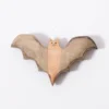Bat