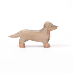 Sausage Dog/Dachshund