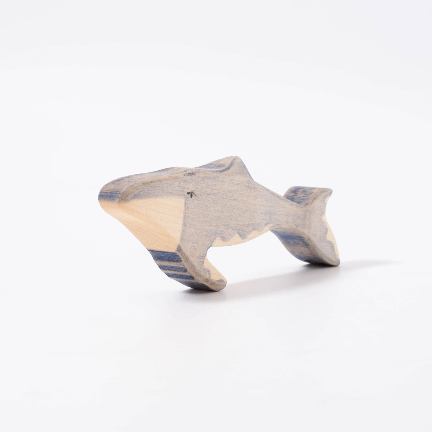 Humpback Whale Calf 1 Humpback Whale Calf