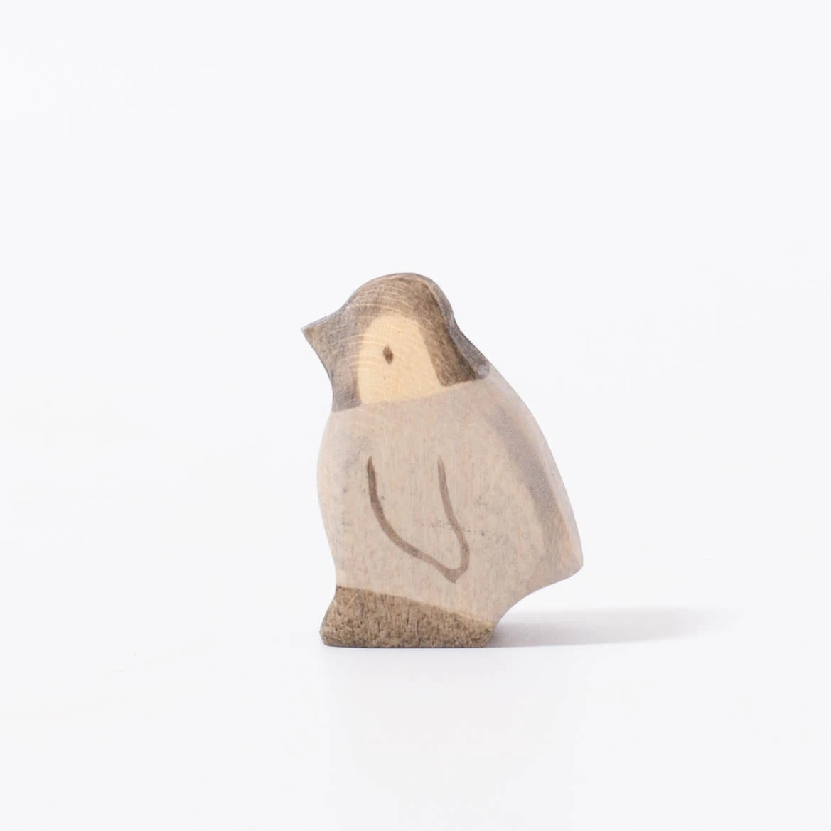 Penguin Chick 1 Penguin Chick