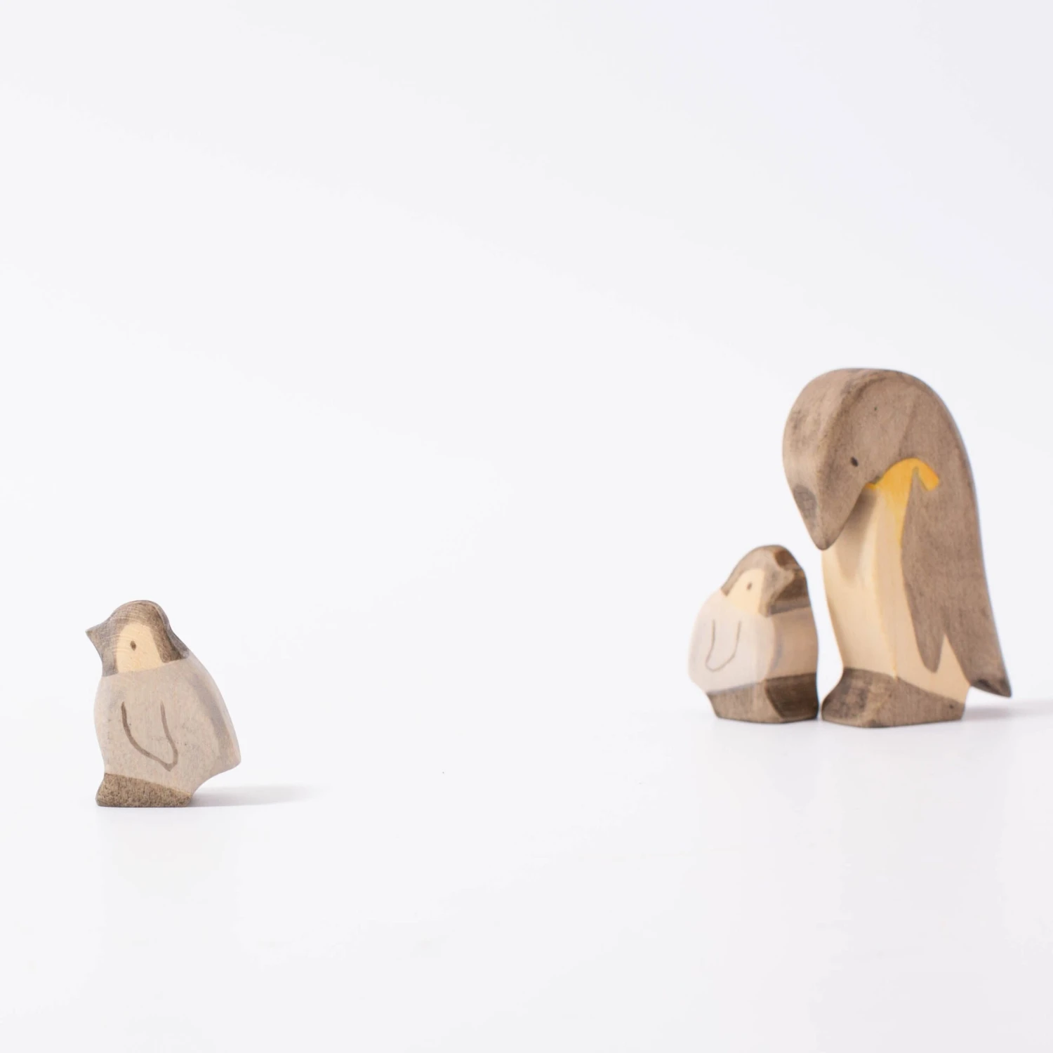 Penguin Chick 3 Penguin Chick - Image 3