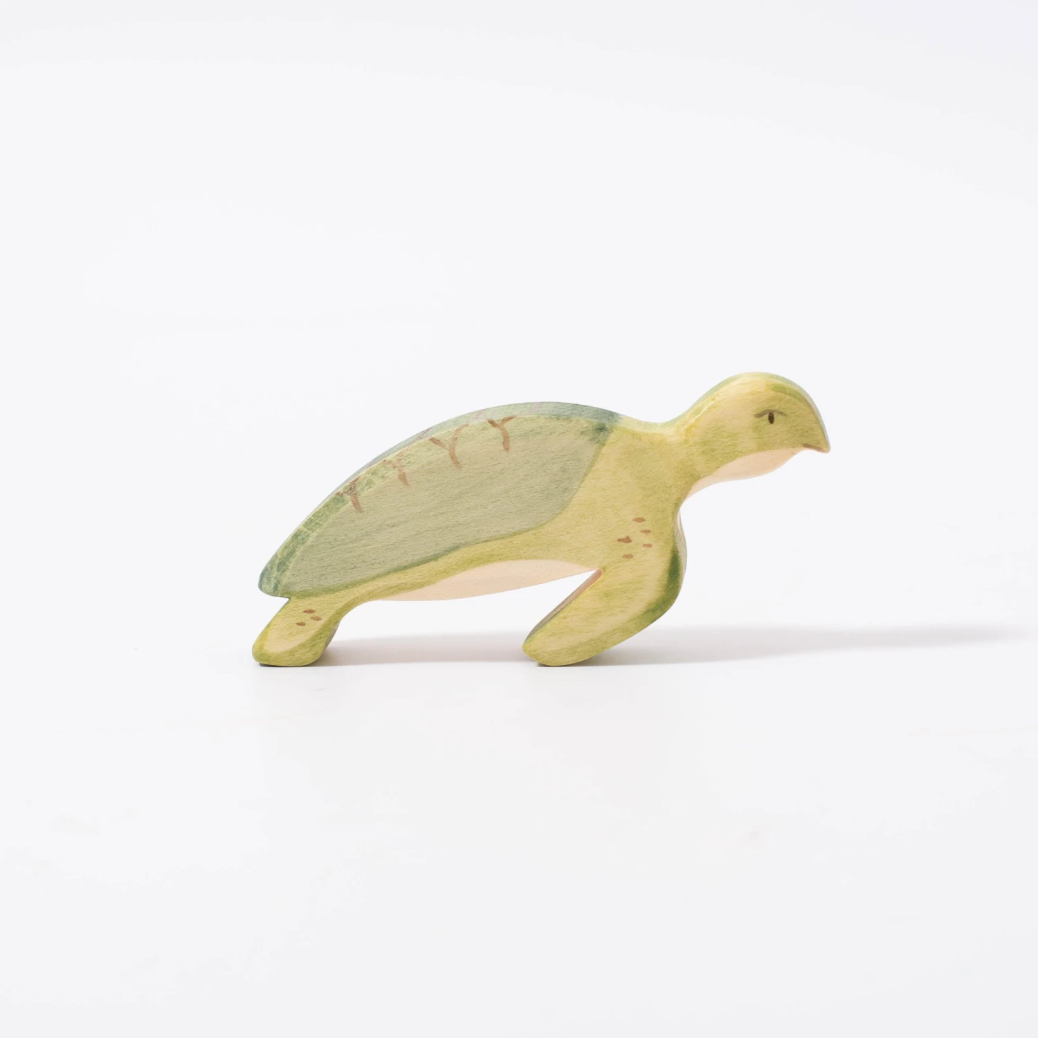 Turtle 2 Turtle - Image 2