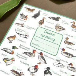Ducks Wildlife Spotting Notepad 9 Ducks Wildlife Spotting Notepad -Toy Series Store f3a5e36eb1b71582089e50125e03ce41d2beb23b6c6ff9c9628915edae5d289f