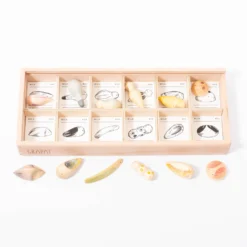 Grapat Wild -Toy Series Store grapat wild things 2 scaled