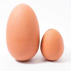 Maileg Gantosaurus In Egg Medium | Dark Ochre -Toy Series Store maileg gantosaurus in egg medium and small size comparison 2 scaled