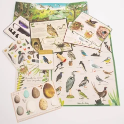 Moulin Roty Discovery Of Birds Box